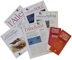 Lluc Julià, Institut Català d'Ornitologia
