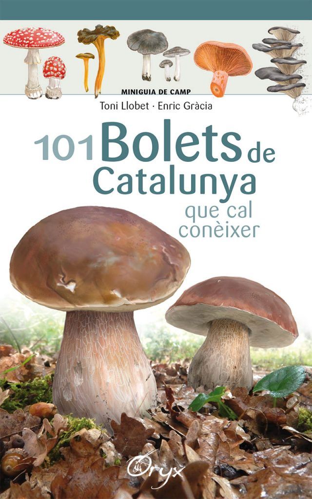 lluc_julia_bolets_catalunya_oryx_portada