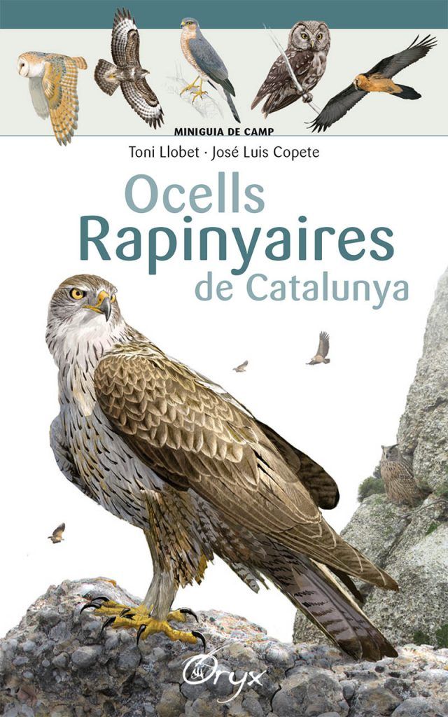 lluc_julia_rapinyaires_catalunya_oryx_portada