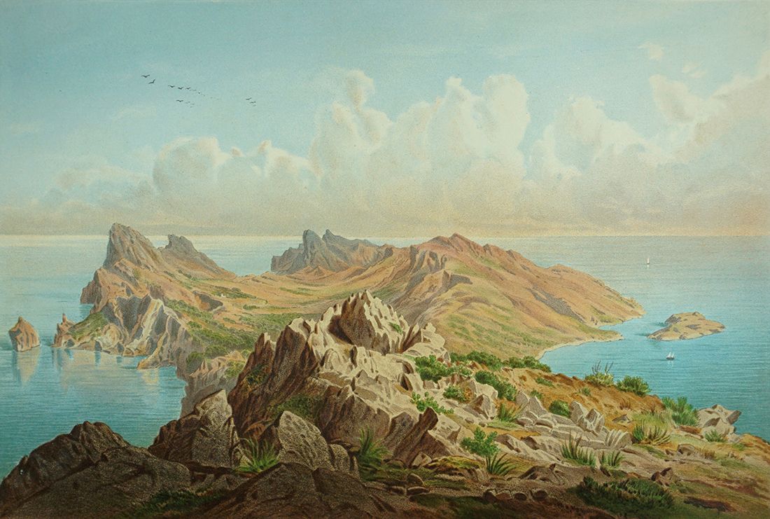 Before image